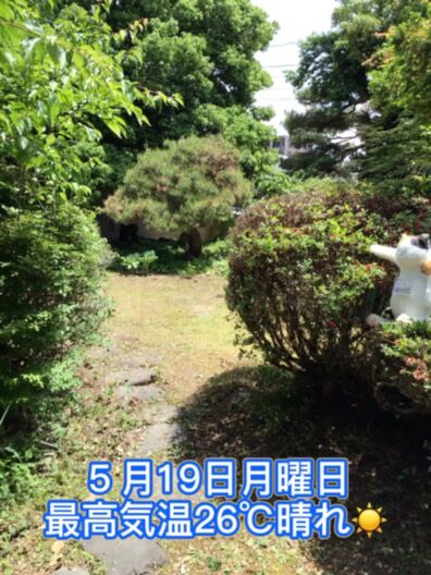 #ショパンランド
#長野市古民家
#長野市上松2丁目
#善光寺
#北国街道
#北国街道脇道
#ラン活
#ランドセル専門店