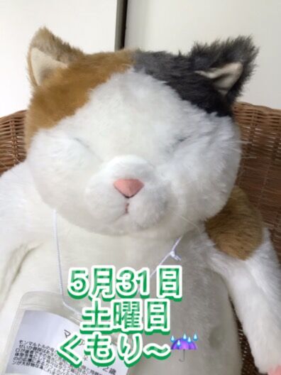 #竹の子
#はちく
#ショパンランド
#長野市上松2丁目
#ラン活
#ランドセル専門店